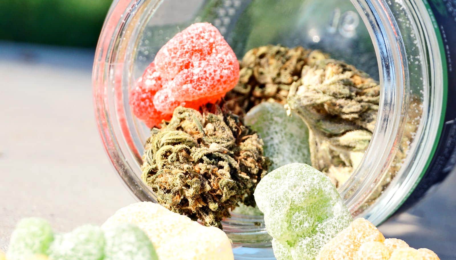 Shop thcp products Online at Delta 8 THC Austin – Advanced Cannabinoid Innovation