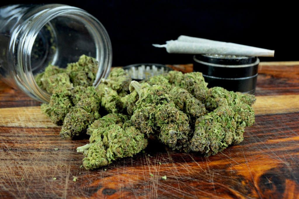 Discover CBD Kush Auto: Hand-Selected Quality from Green Leaf Store EU