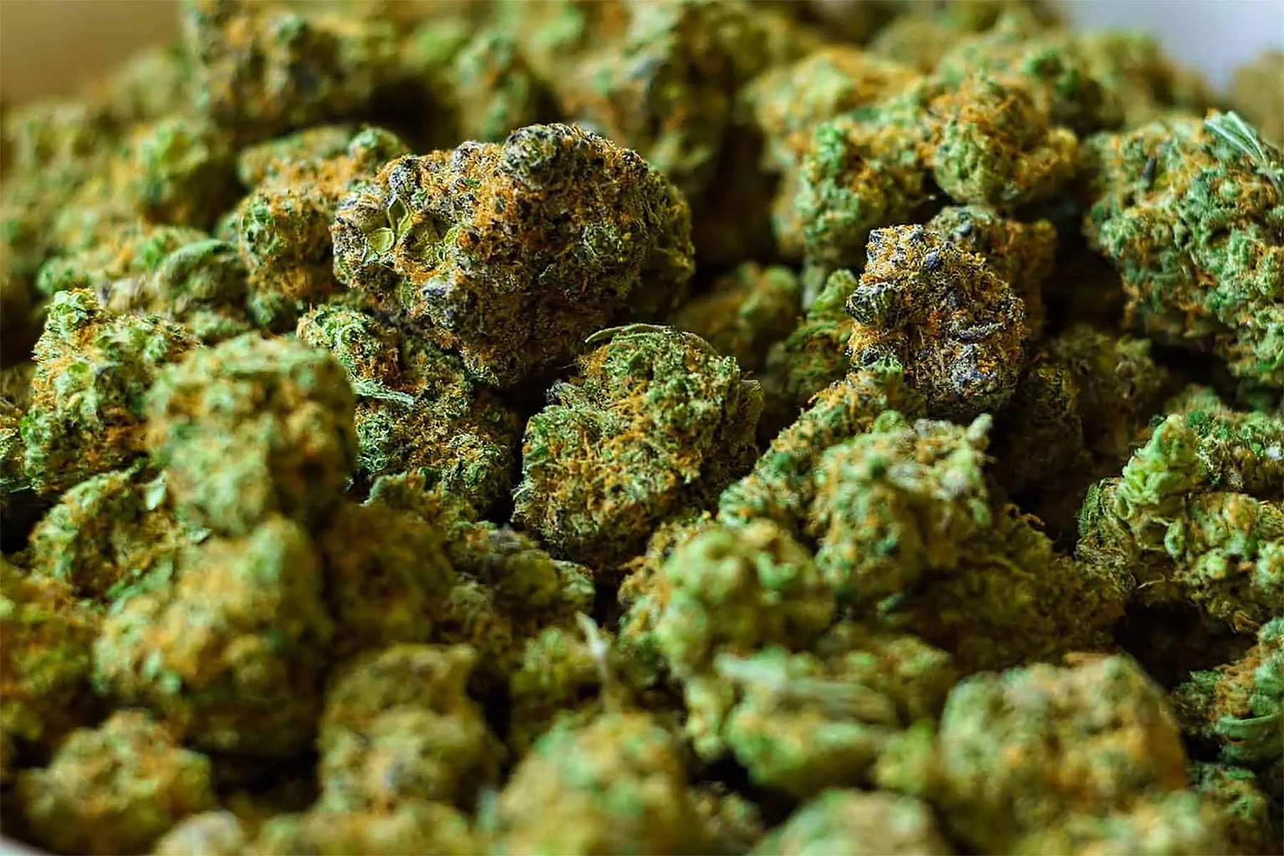 Understanding Cannabis Flower UK: Health, Science, and Law